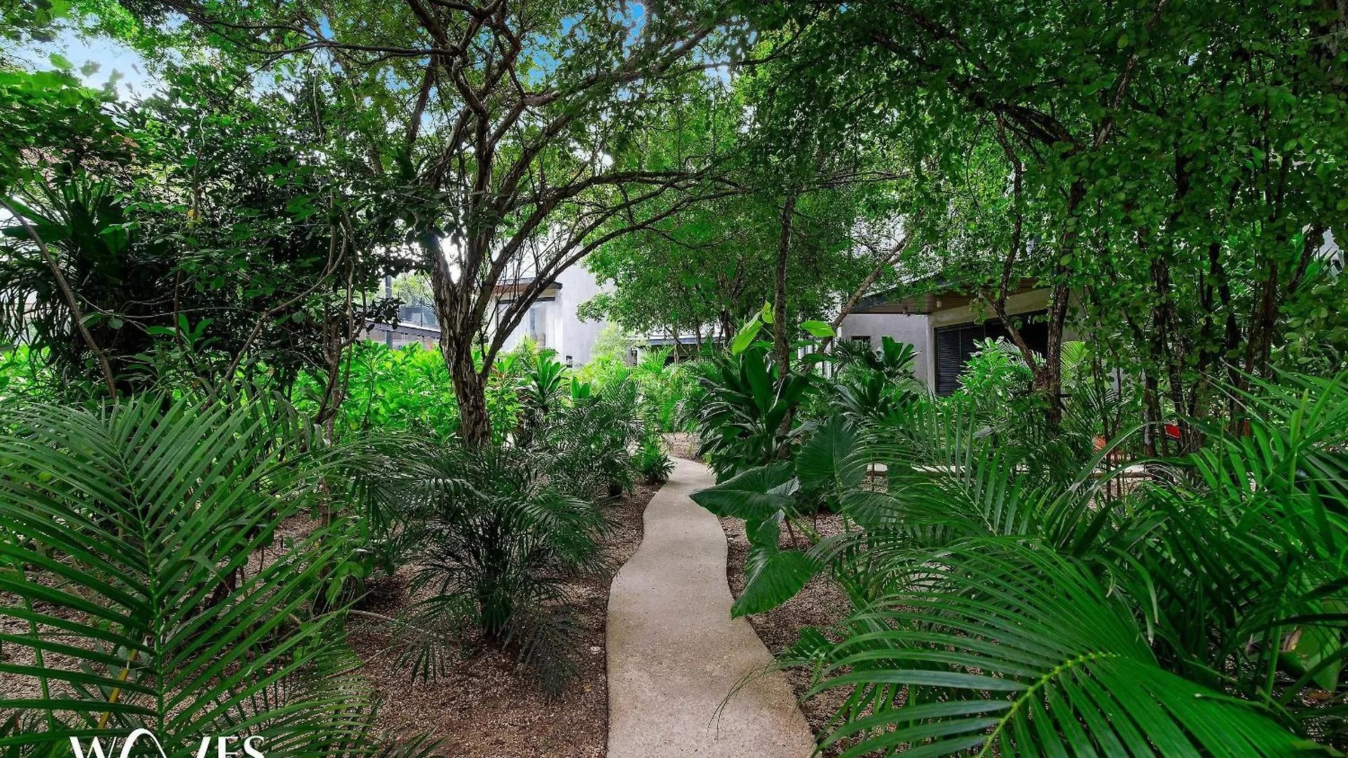 Estudio | Excelente Iluminacion |Cerca De La Playa Tulum